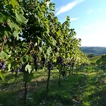 Il Borghetto Country Farm stay *