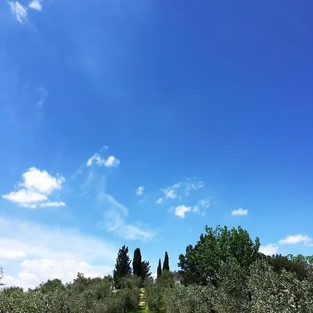 Gospodarstwo agroturystyczne Il Borghetto Country San Casciano in Val di Pesa