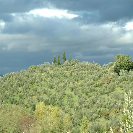 Il Borghetto Country Gospodarstwo agroturystyczne