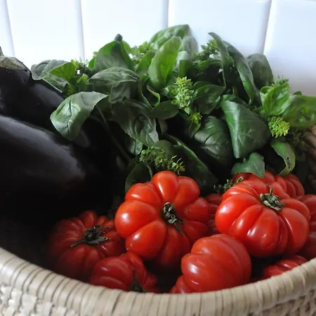 Gospodarstwo agroturystyczne Il Borghetto Country *