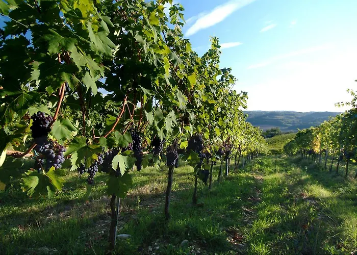 Il Borghetto Country مزرعة للإقامة *