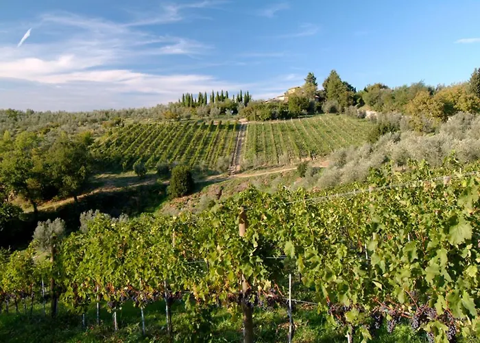 Il Borghetto Country